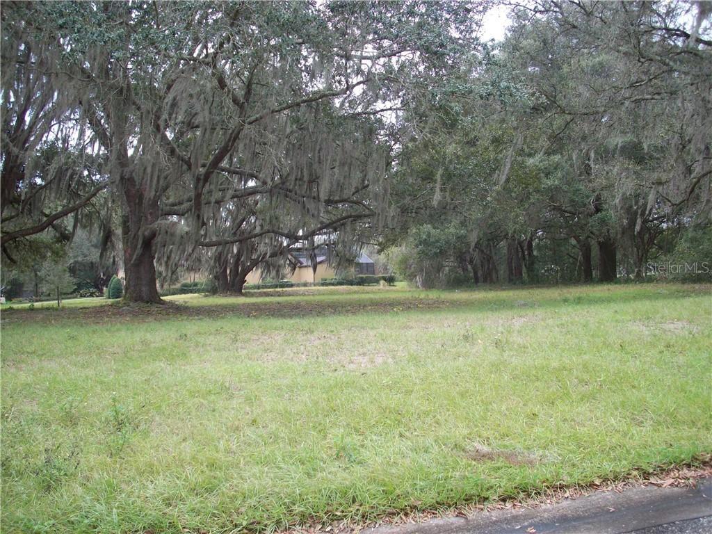 2505 Mexican Sun Dr., Lutz, FL 33559