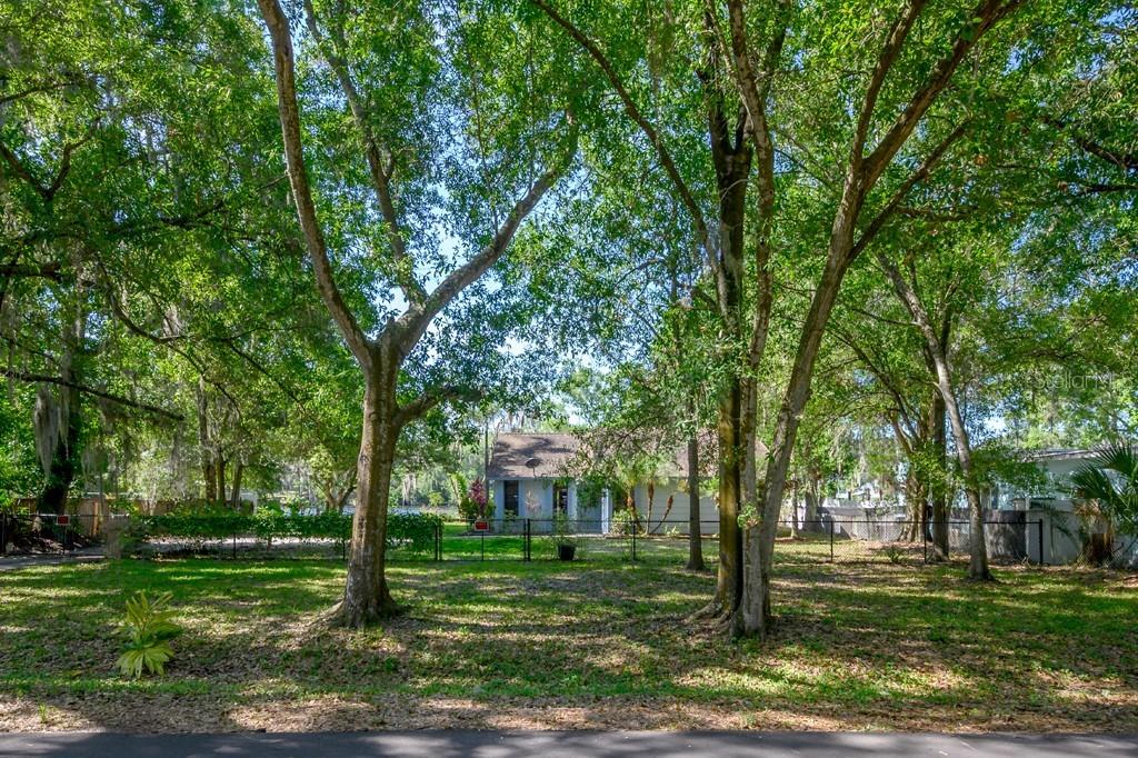 3819 Lakeshore Dr., Tampa, FL 33604