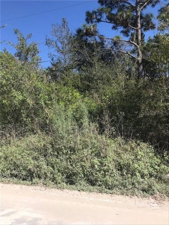 Lakeview Acres Rd., Saint Cloud, FL 34772