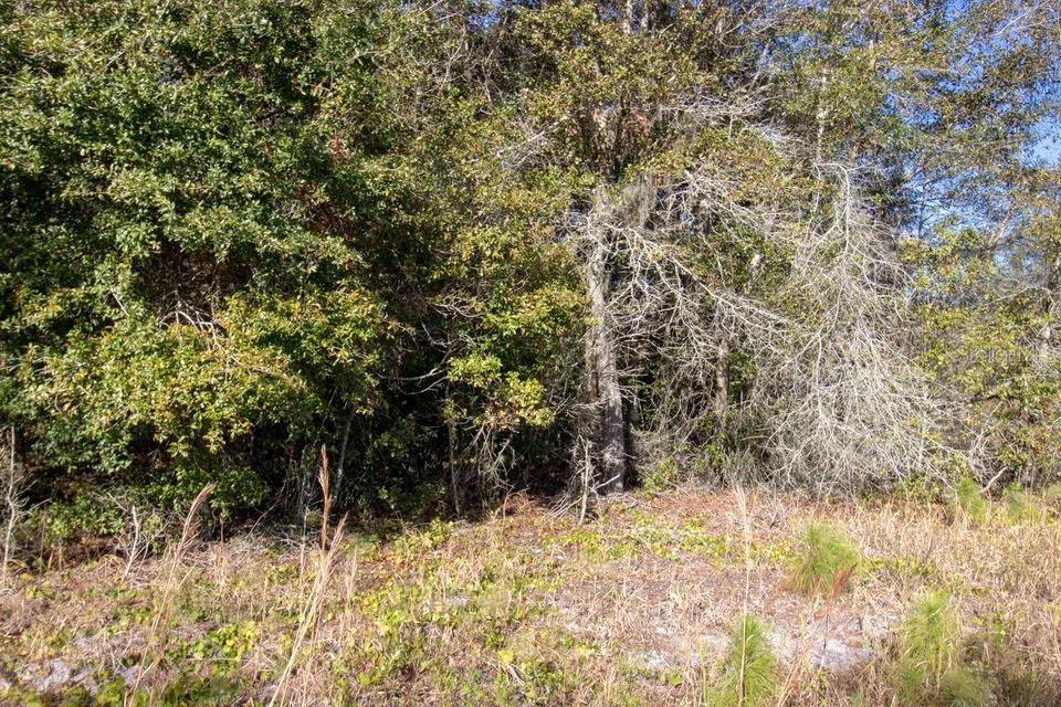 12540 Rockridge Rd., Lakeland, FL 33809