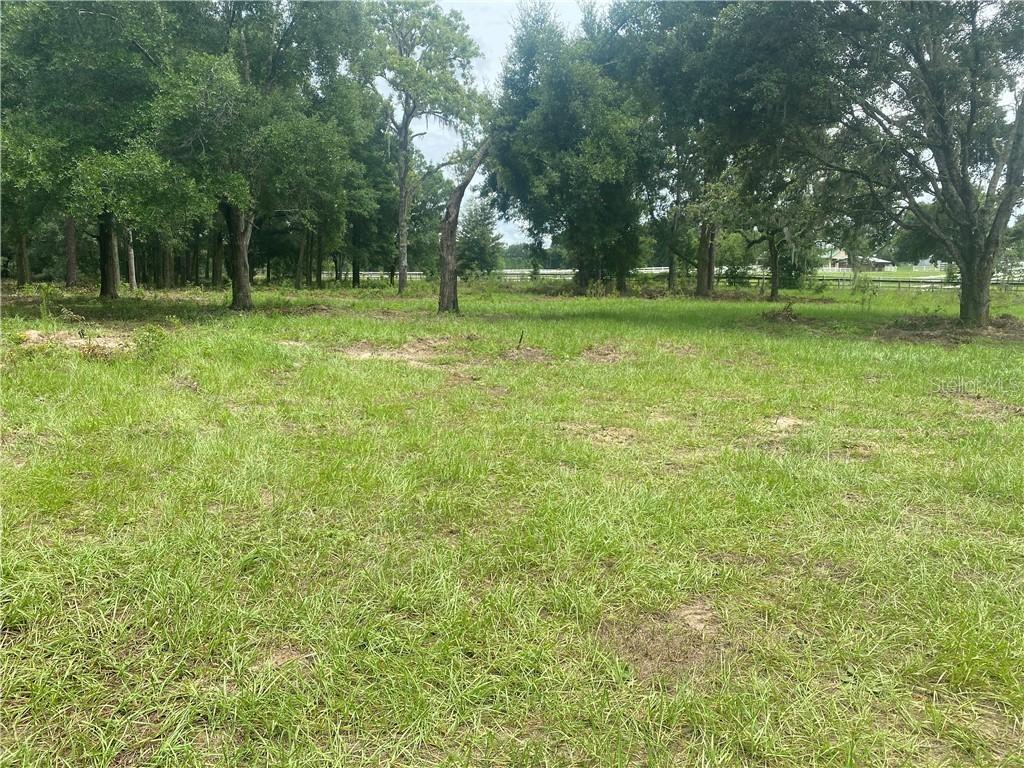 Trilby Trail, Dade City, FL 33523