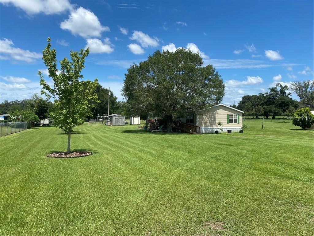 3010 Property Ln., Valrico, FL 33594