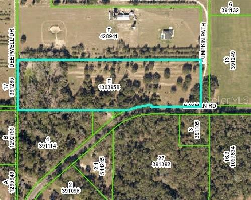 Pumpkin Path, Brooksville, FL 34602