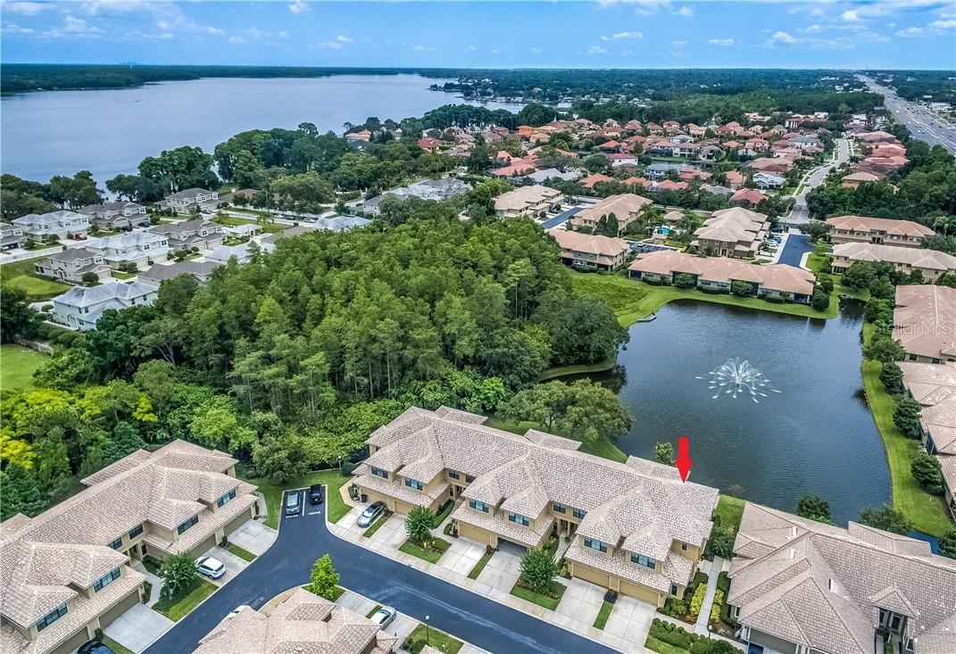 2546 Silverback Ct., Palm Harbor, FL 34684