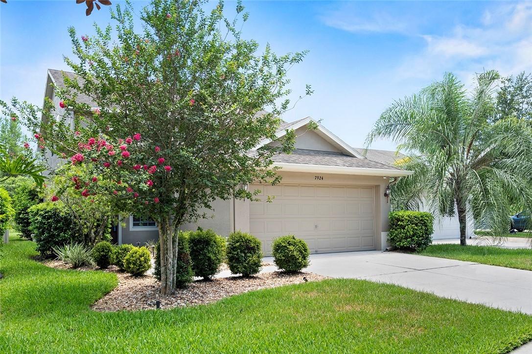7924 Citrus Blossom Dr., Land O Lakes, FL 34637