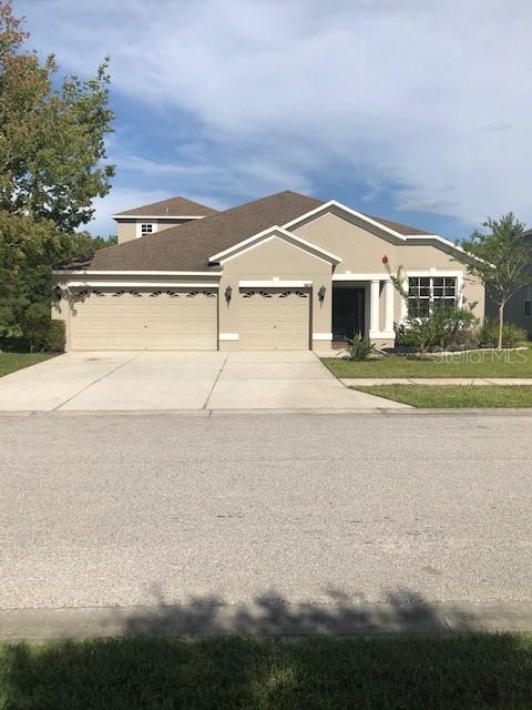 9820 Asbel Estates St., Land O Lakes, FL 34638