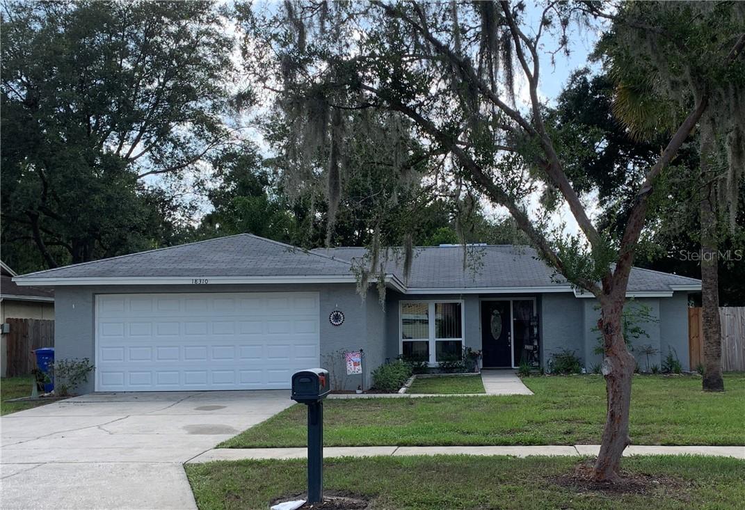 18310 Swan Lake Dr., Lutz, FL 33549