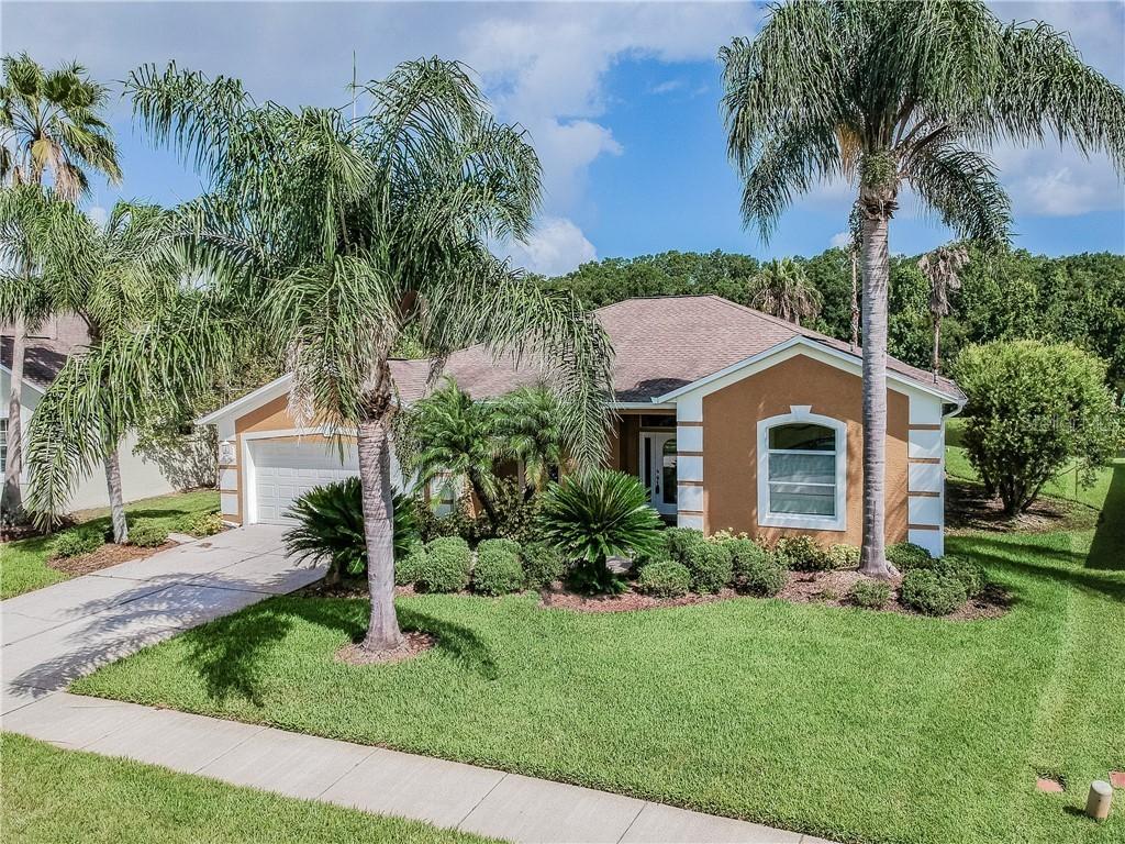 24716 Blazing Trail Way, Land O Lakes, FL 34639