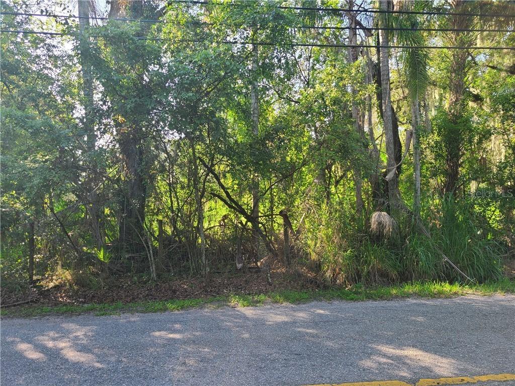 Garden Lane, Tampa, FL 33610