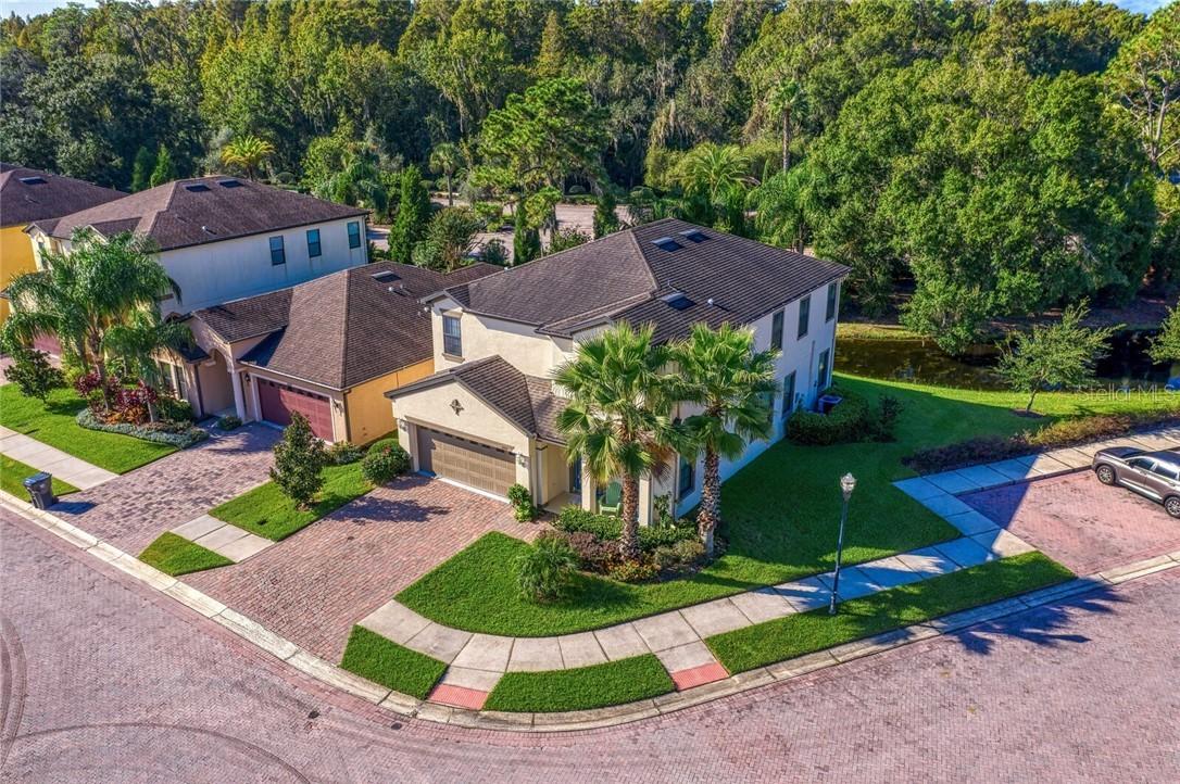 11001 Tortola Isle Way, Tampa, FL 33647