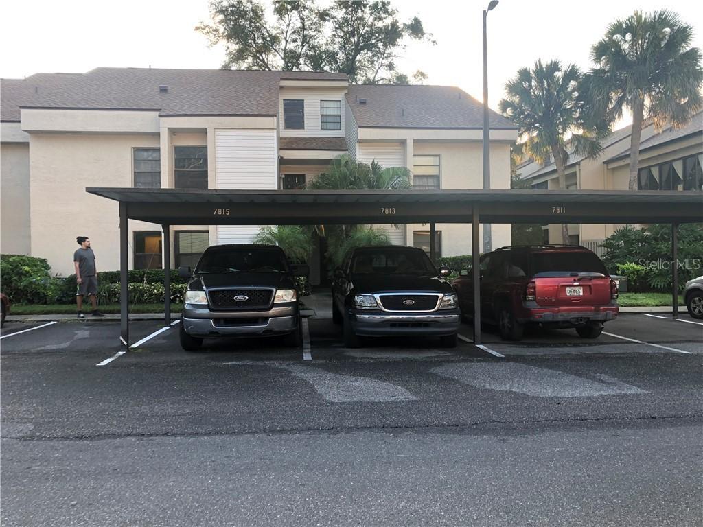 7813 Niagara Ave., Tampa, FL 33617