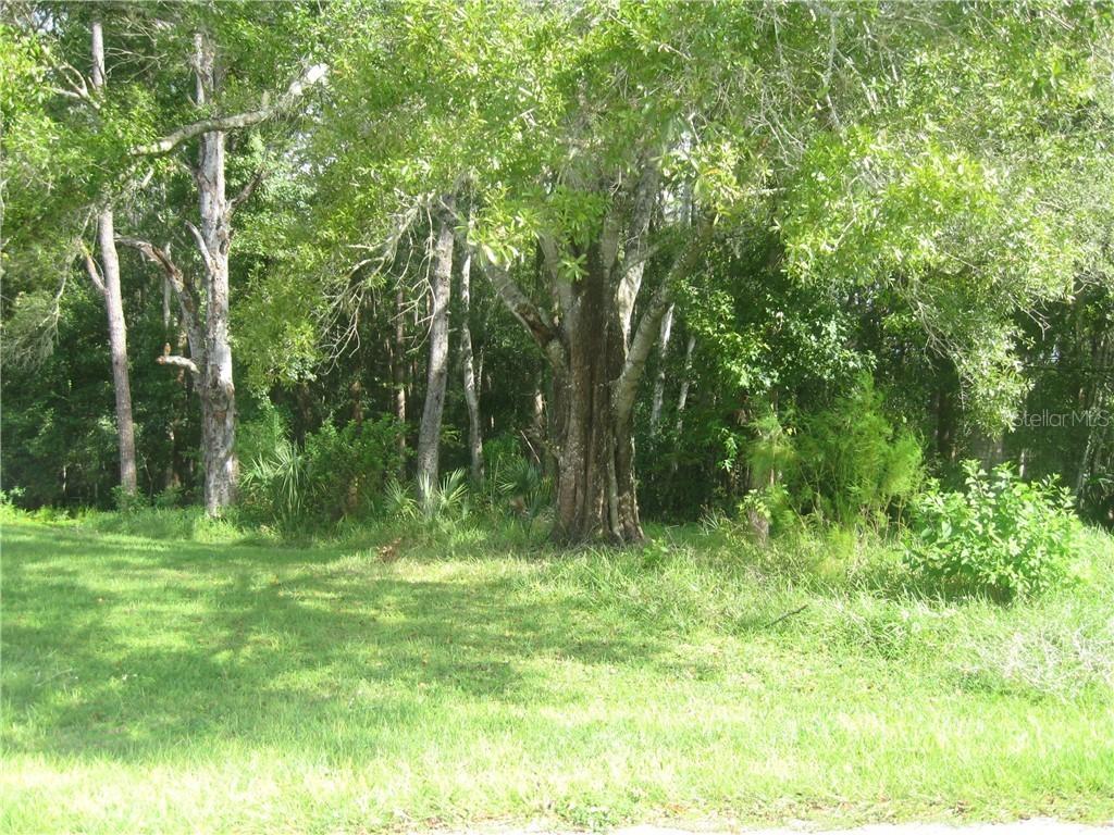 [Address Hidden by Seller], Land O Lakes, FL 34639
