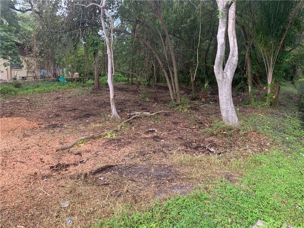 6404 N Rome Ave., Tampa, FL 33604