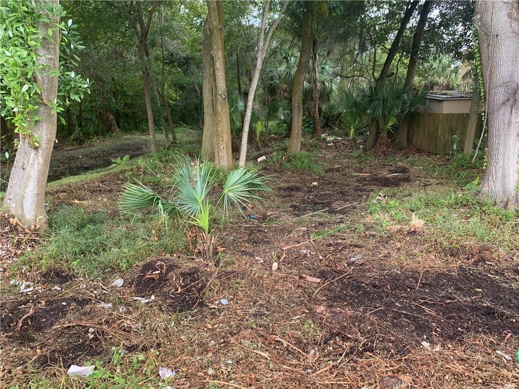6406 N Rome Ave., Tampa, FL 33604