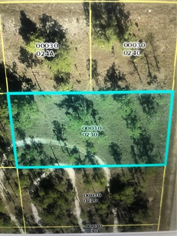 1021 Louis Ave., Lehigh Acres, FL 33972