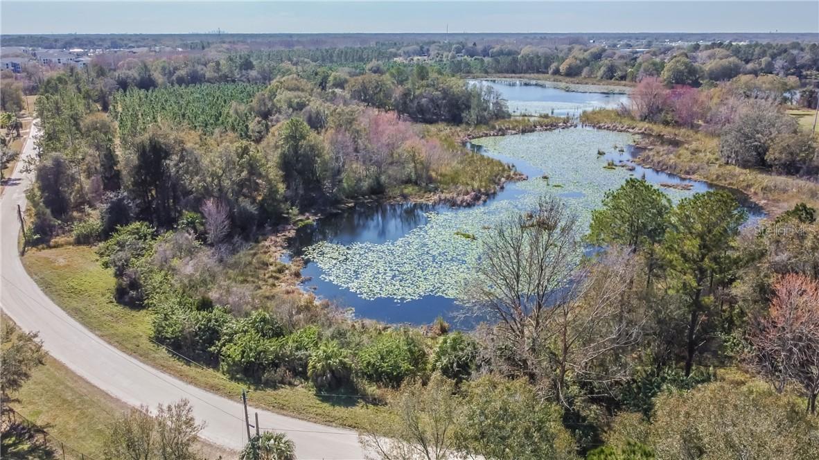 20 Mile Level, Land O Lakes, FL 34639