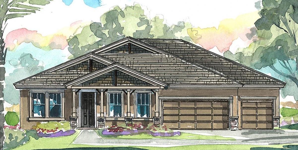 2905 Silva Wood Dr., Valrico, FL 33596