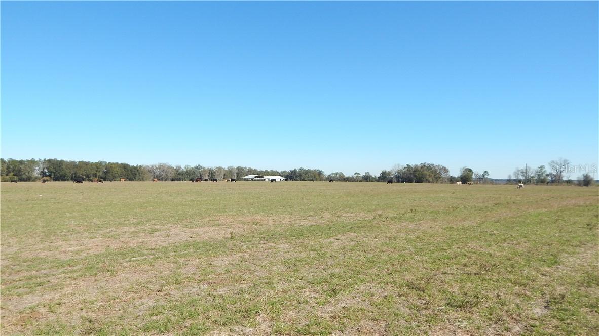 Lots 2 & 4 Lake Iola Rd., Dade City, FL 33523