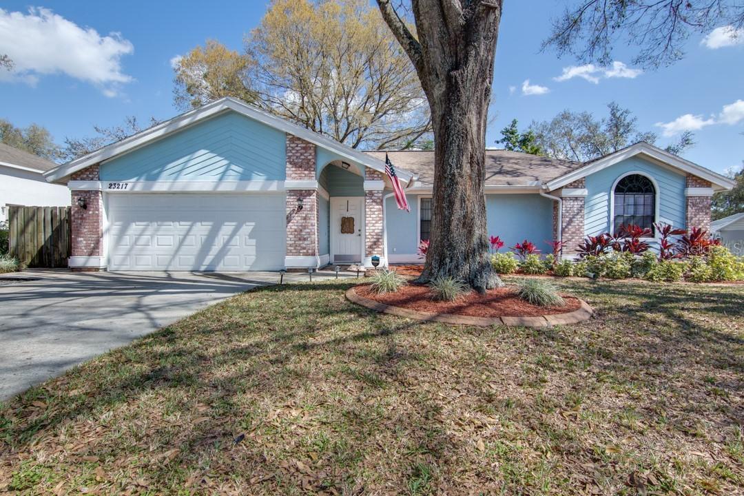 23217 Sierra Rd., Land O Lakes, FL 34639