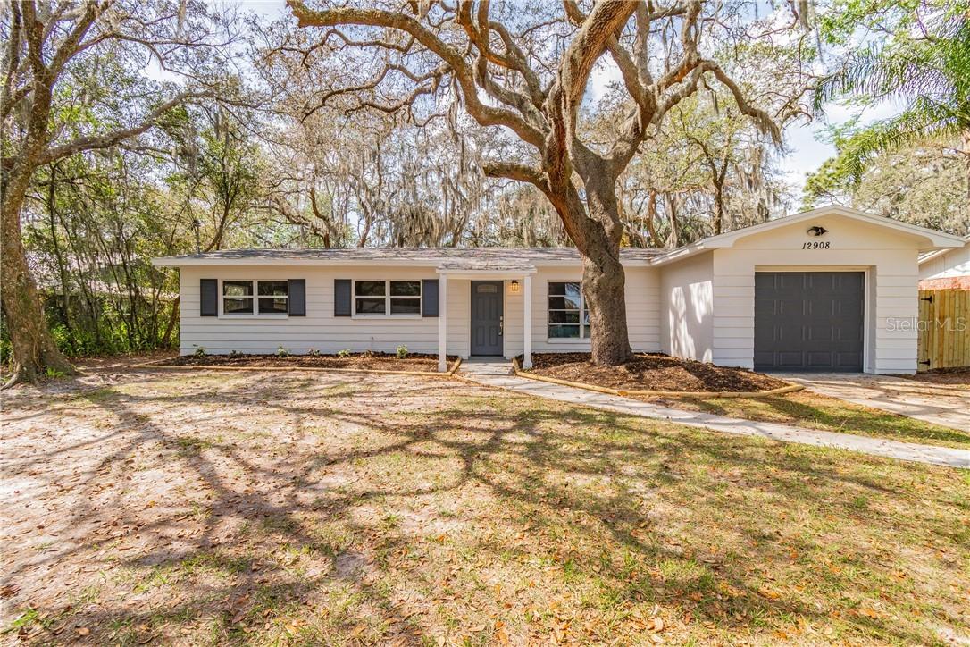 12908 N Rome Ave., Tampa, FL 33612