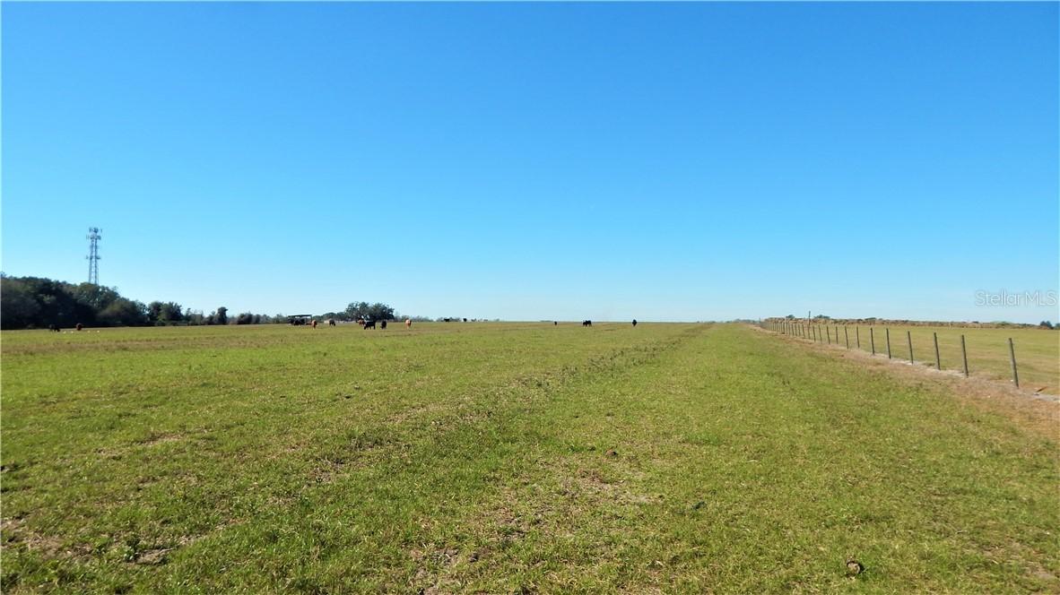 30351 Johnston Rd., Dade City, FL 33523