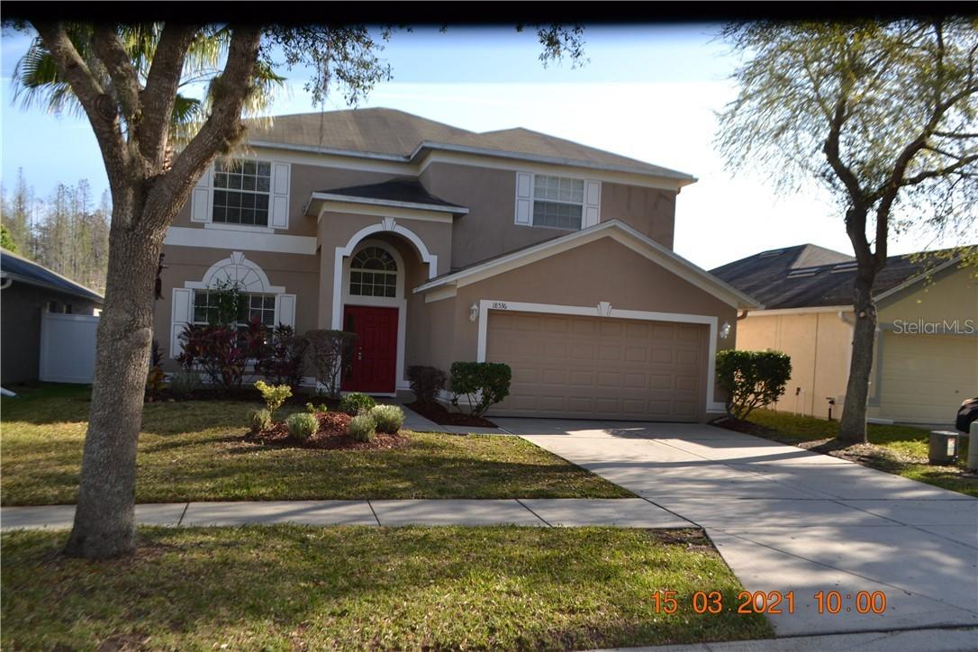 18536 Merseyside Loop, Land O Lakes, FL 34638