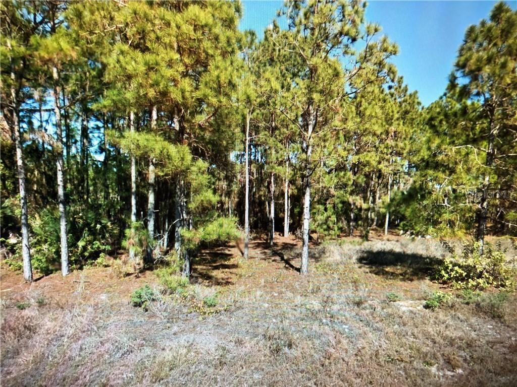 1249 Cloplon St., Lehigh Acres, FL 33974