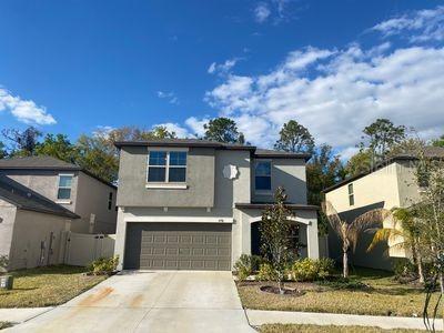 6976 Emerald Spring Loop, New Port Richey, FL 34653