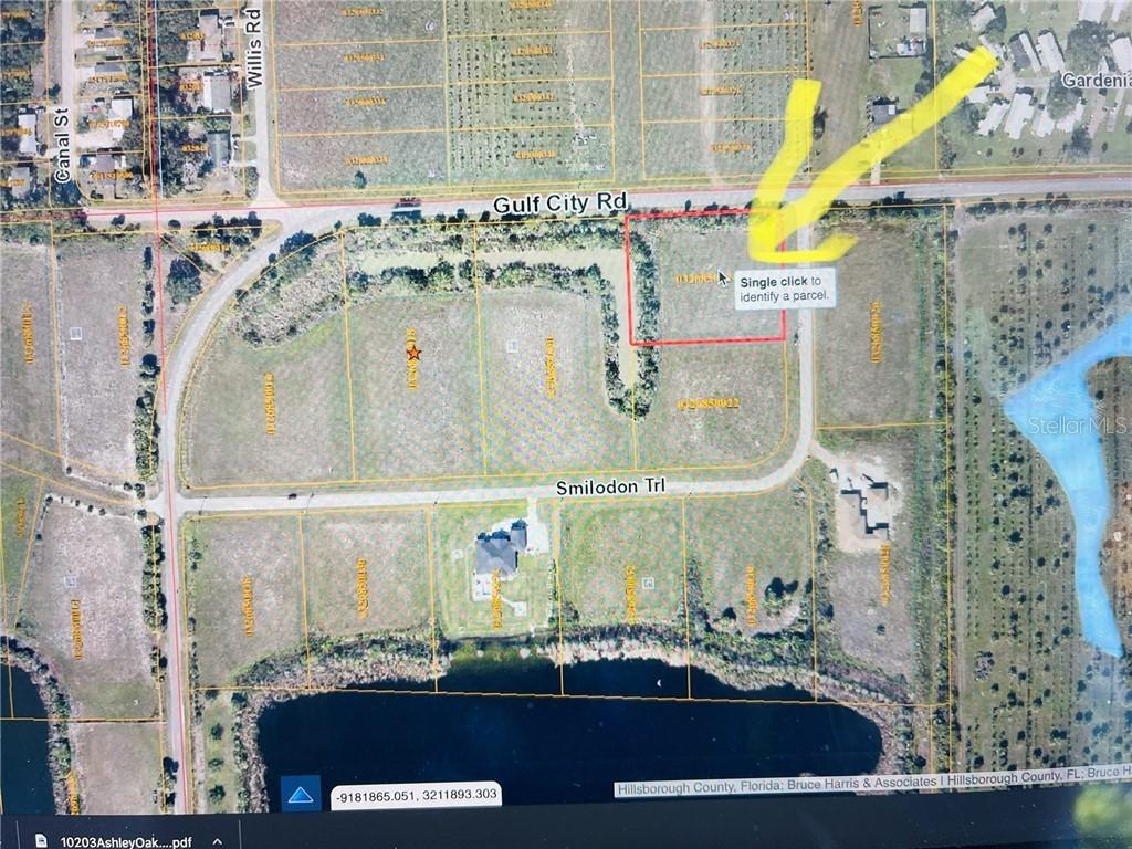 Smilodon Tr., Ruskin, FL 33570