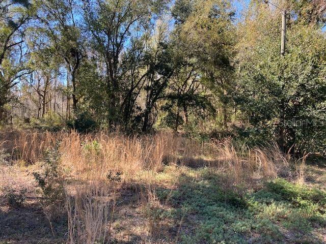 000 000, Zephyrhills, FL 33540