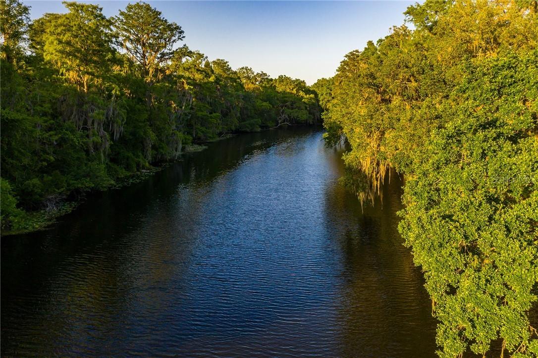 11943 Riverhills Dr., Tampa, FL 33617