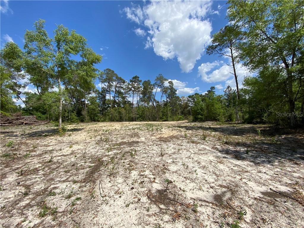 14164 Tranquility Ln., Brooksville, FL 34614