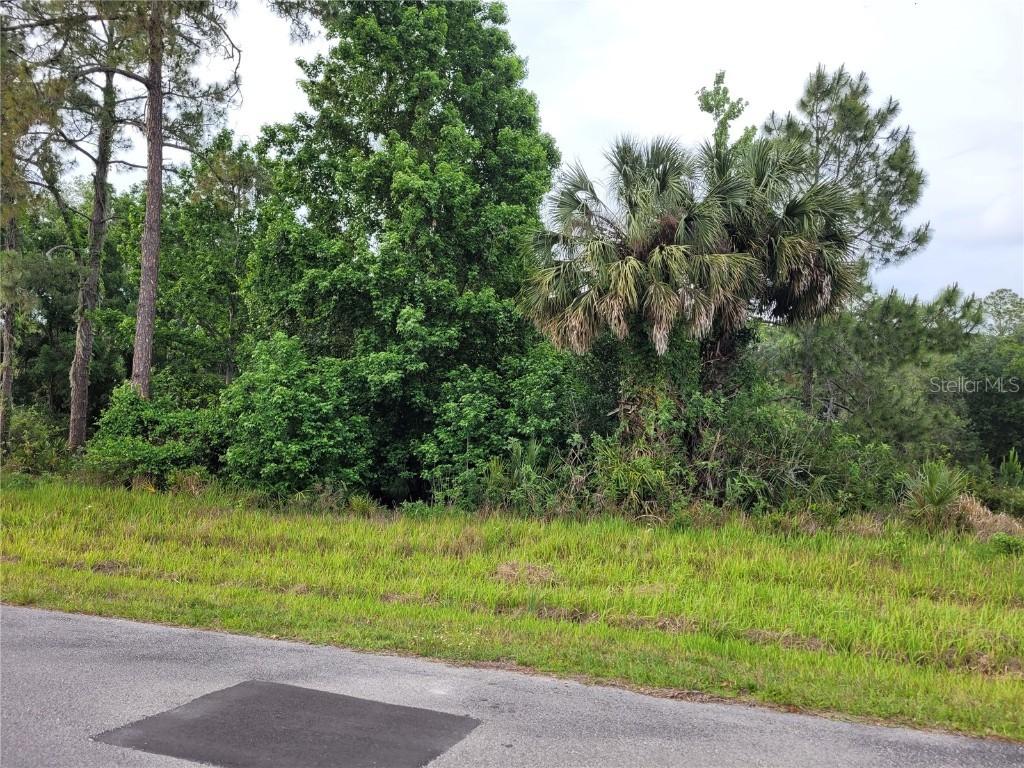 8521 Spring Forest Ln., Wesley Chapel, FL 33544