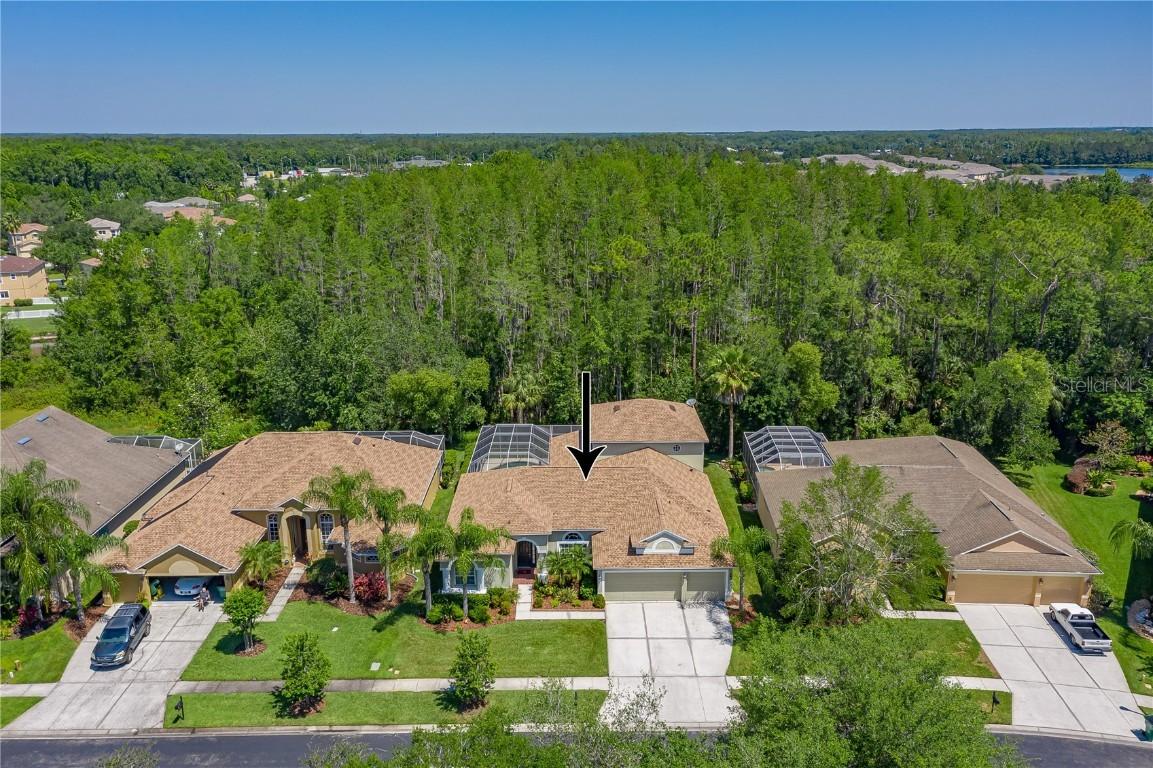 26600 Shoregrass Dr., Wesley Chapel, FL 33544