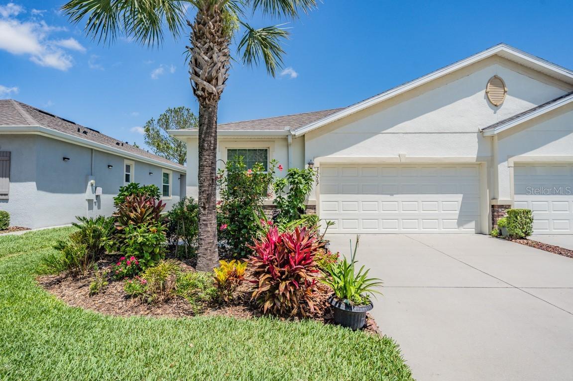 33067 Windelstraw Dr., Wesley Chapel, FL 33545