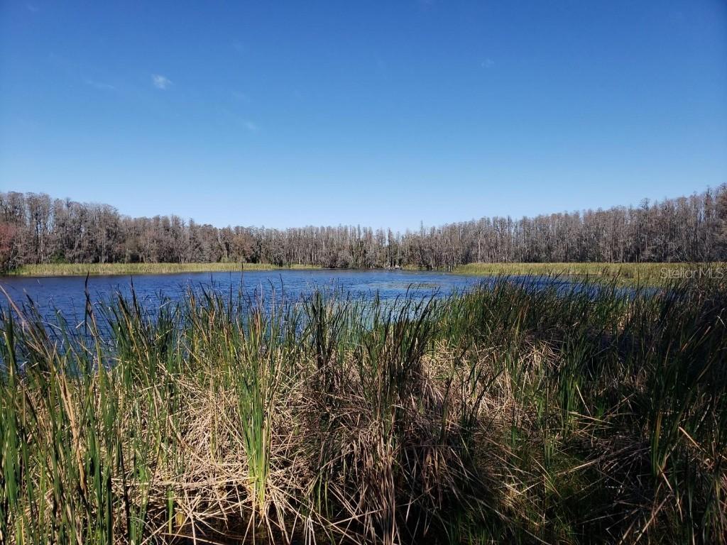 Cobb Rd., Land o' Lakes, FL 34638