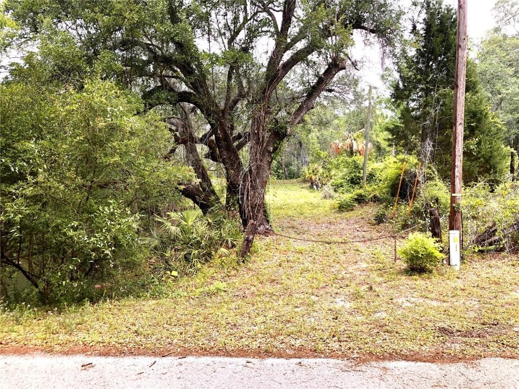 33009 Round Table Rd., Dade City, FL 33523