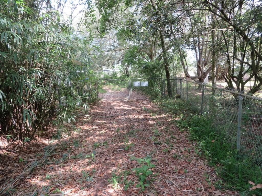 34811 Buck Rd., Zephyrhills, FL 33541