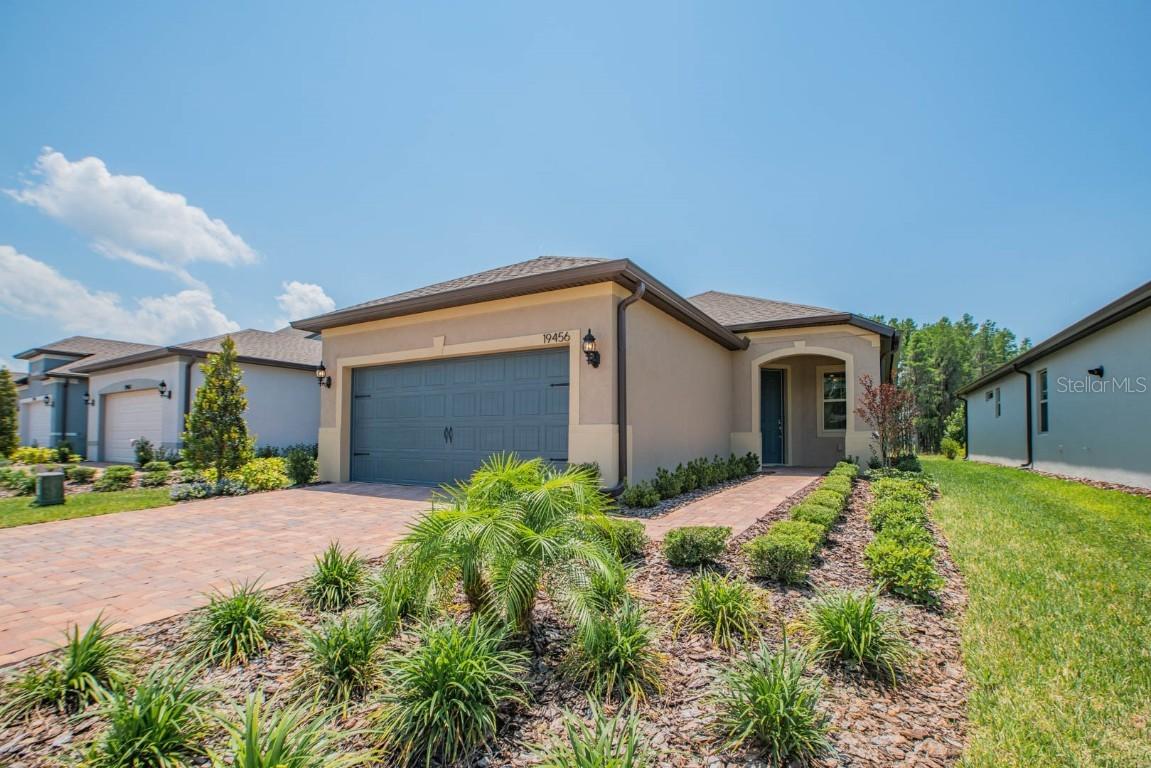 19456 Ship Wheel Way, Land O Lakes, FL 34638