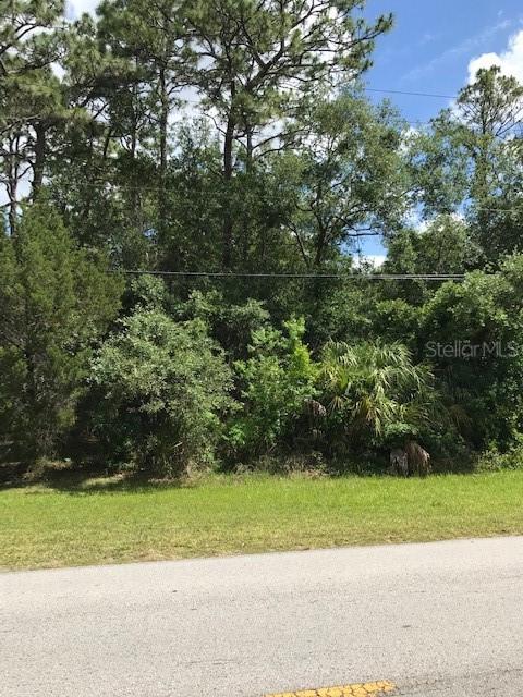 8423 W Bradshaw St., Homosassa, FL 34448