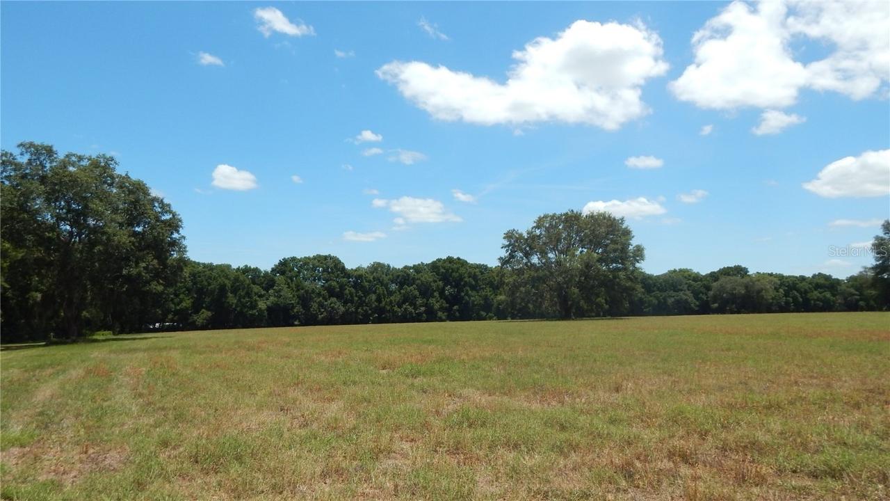Trilby Rd., Dade City, FL 33523