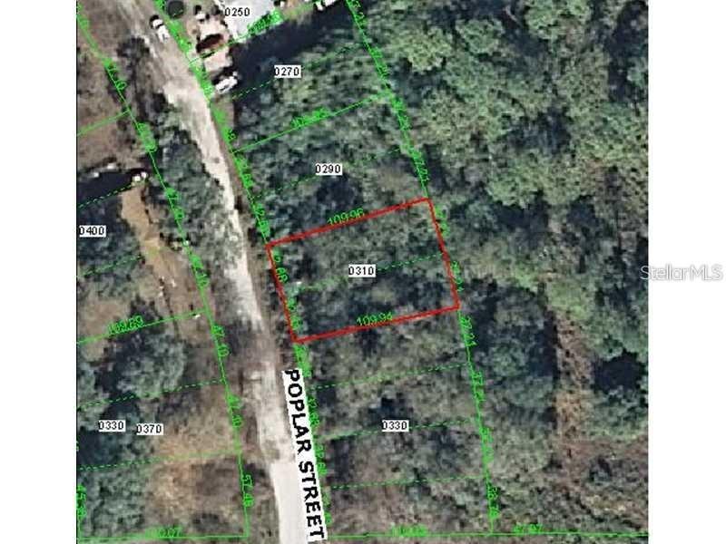 Poplar Street, New Port Richey, FL 34654