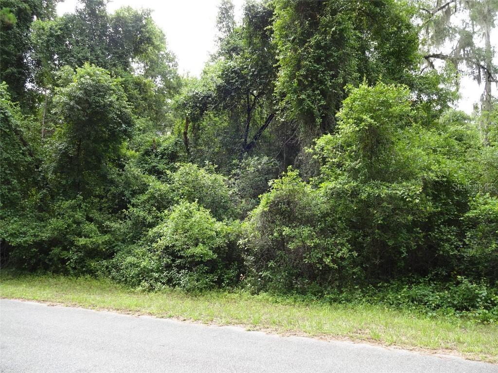 805 E Abend Dr., Citrus Springs, FL 34434