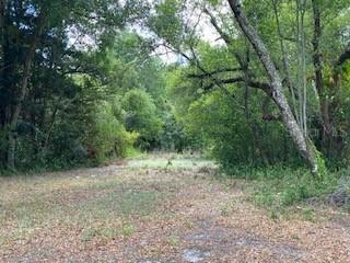 8616 N Habana Ave., Tampa, FL 33614