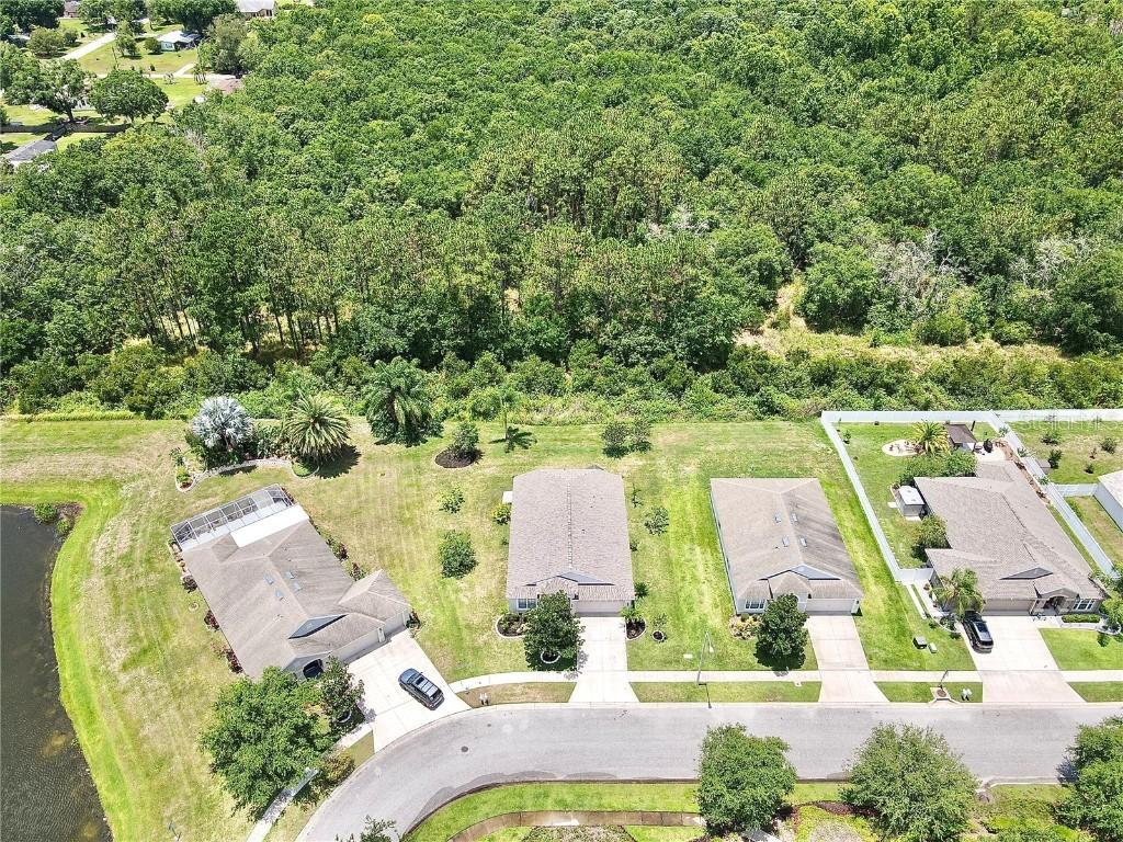 7801 Blackhill St., Wesley Chapel, FL 33545
