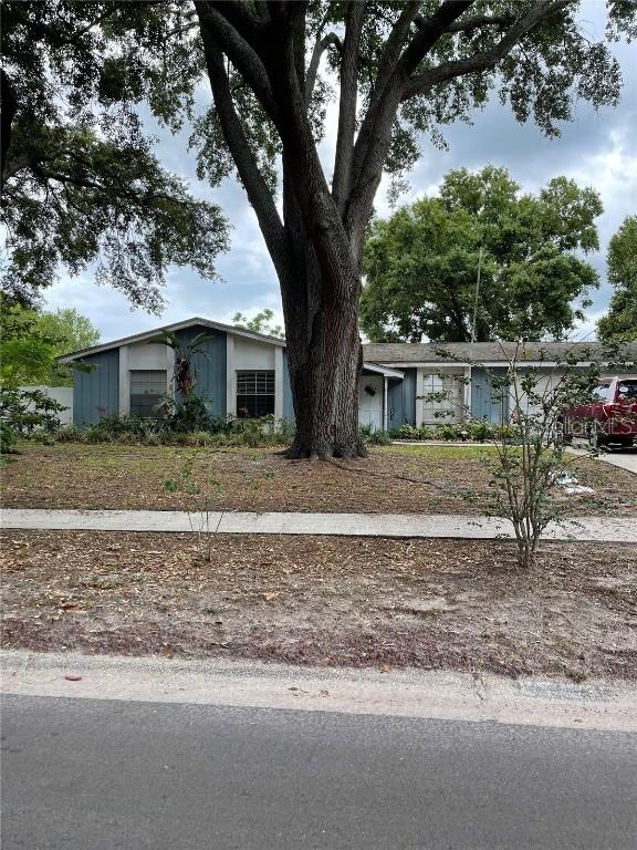 13514 Greentree Dr., Tampa, FL 33613