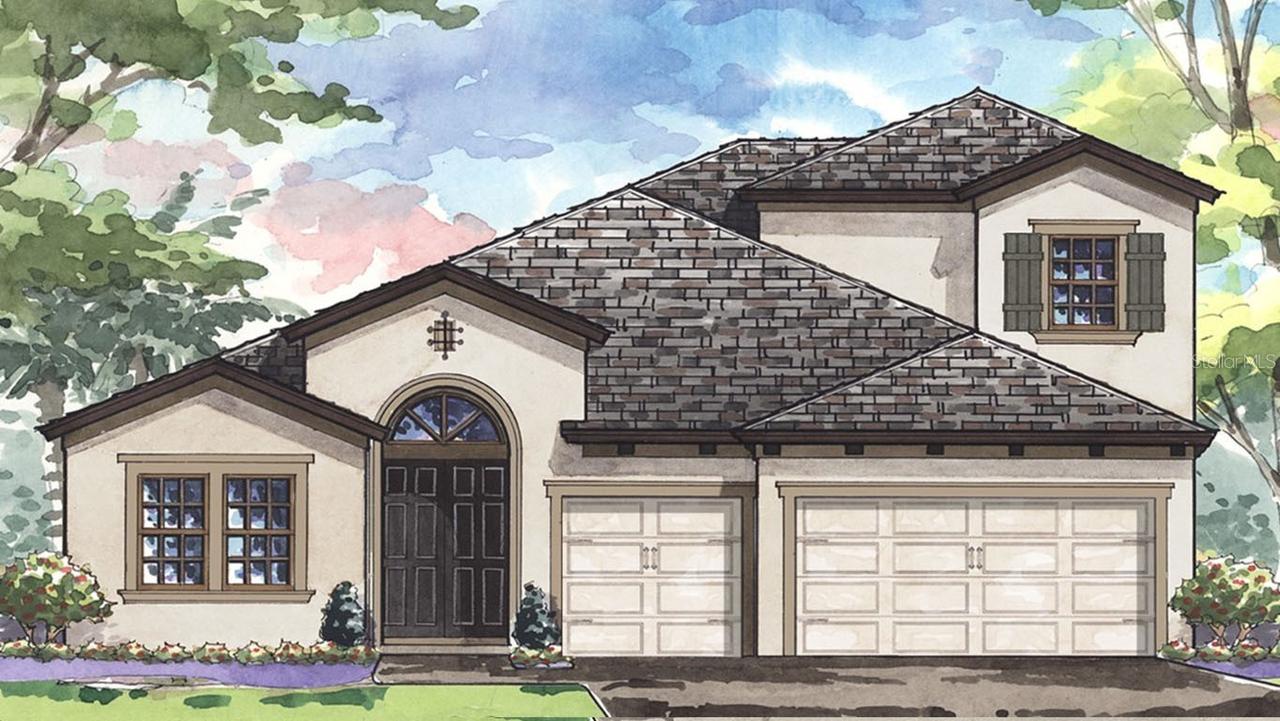 8695 Birchleaf Ct., Land O Lakes, FL 34637