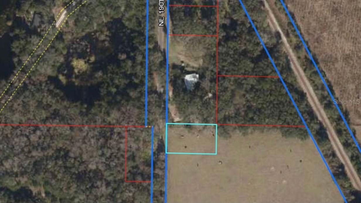 NE 190 Ave., Williston, FL 32696