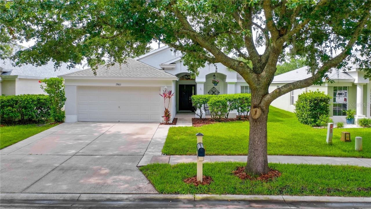 19801 Bellehurst Loop, Land O Lakes, FL 34638