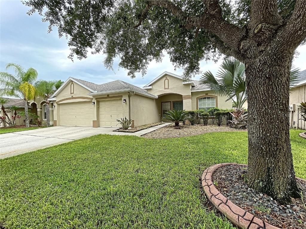 1425 Emerald Hill Way, Valrico, FL 33594